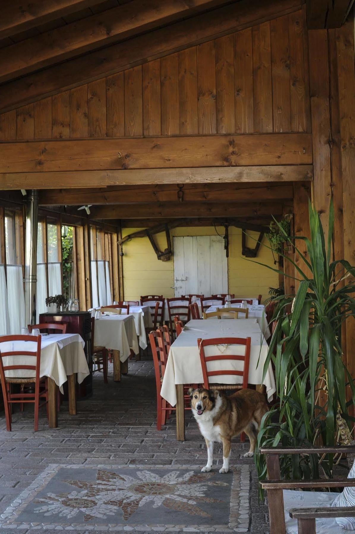 Locanda Merlaschio Faenza Exterior photo
